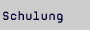Schulung